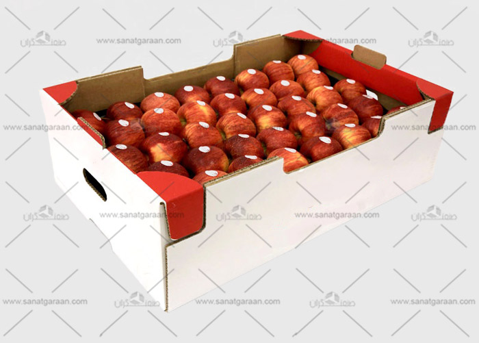 بسته بندی جعبه ای میوه